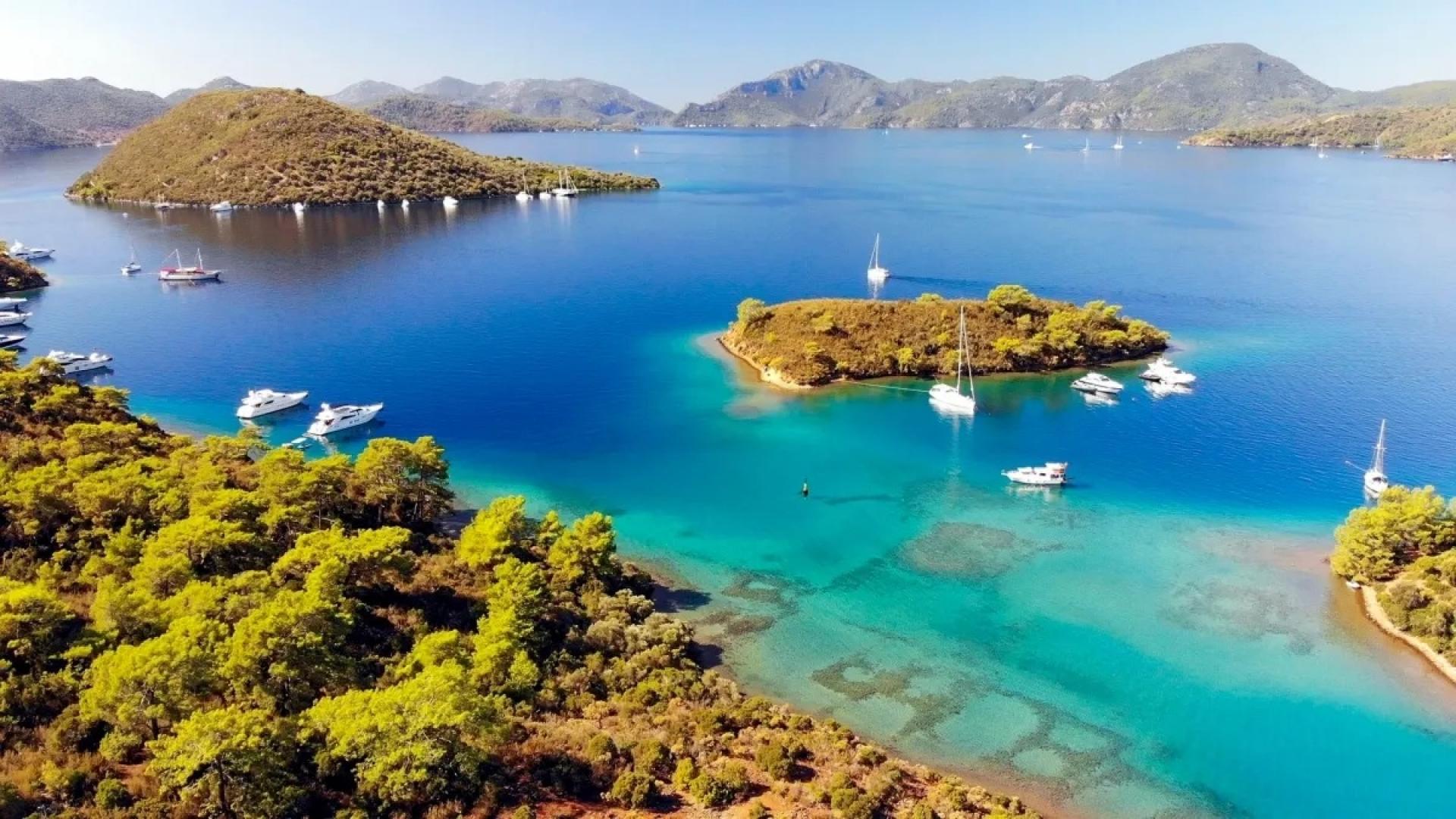 gocek